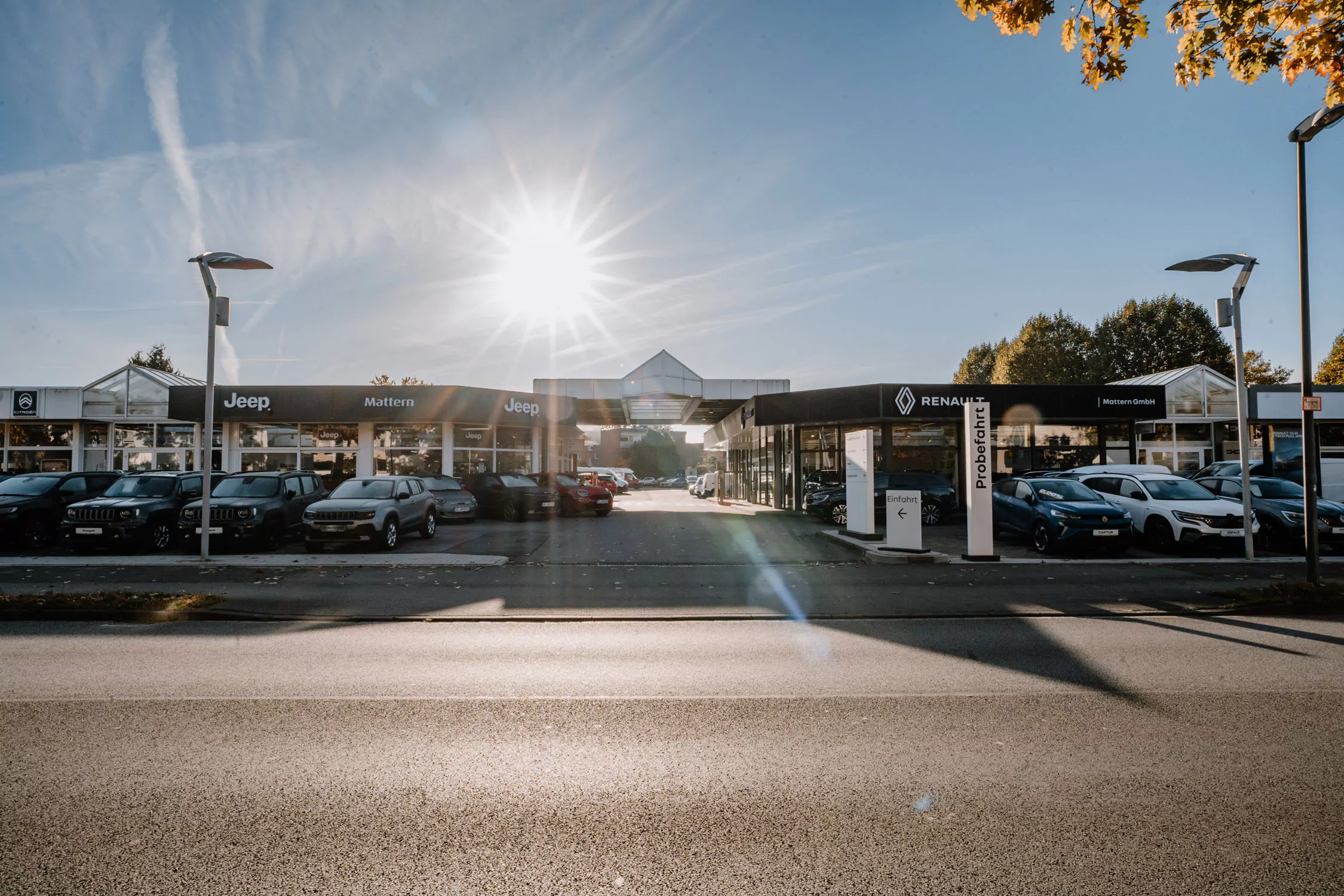 Ein Autohaus mit Jeep- und Renault-Schildern, Reihen von geparkten Autos vor dem Gebäude und die Sonne scheint hell in einem klaren blauen Himmel über dem Gebäude. Im Hintergrund sind Bäume mit Herbstlaub zu sehen.